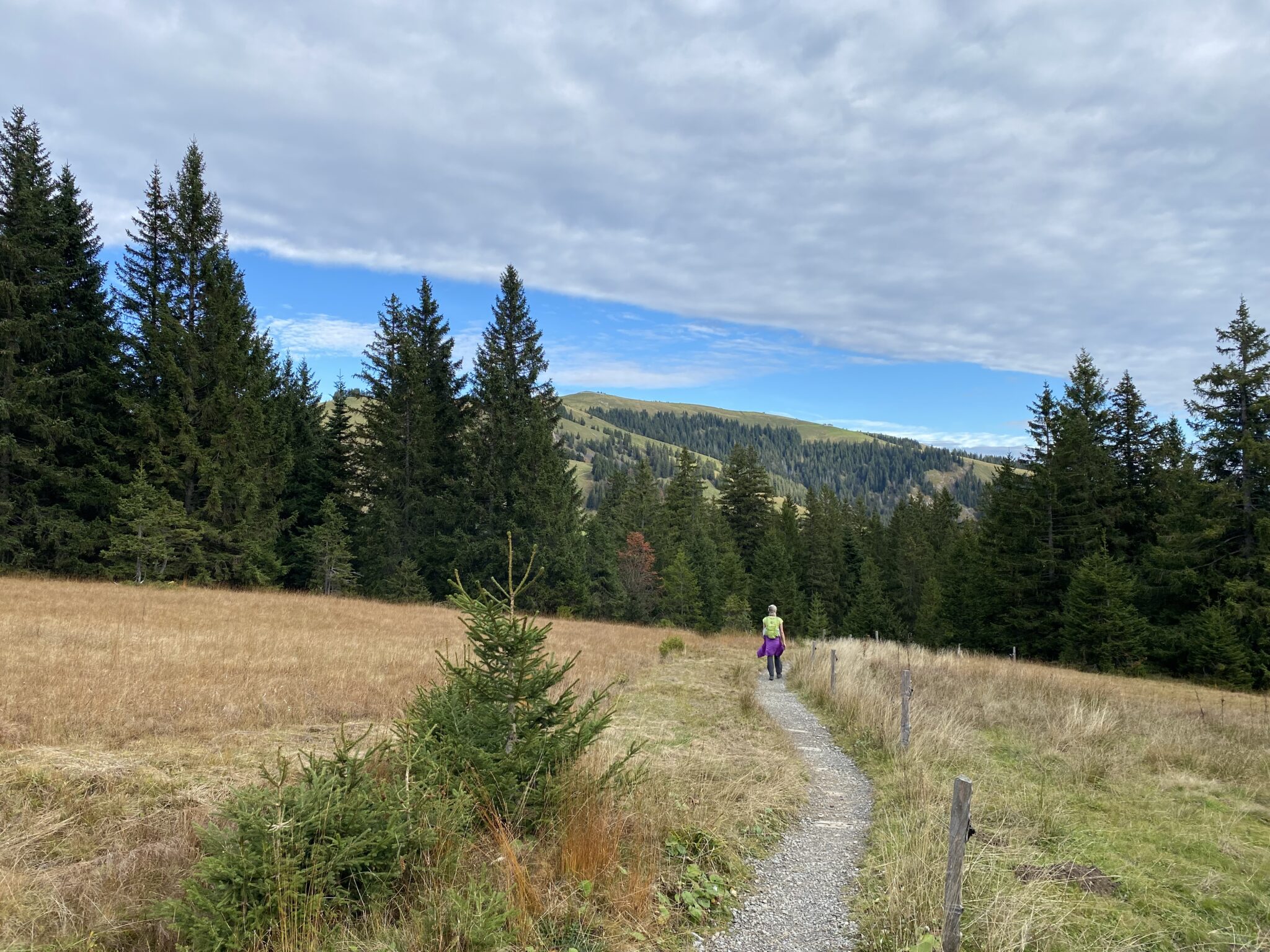 schw-galp-kronberg-appenzell-wandern-mit-freunden